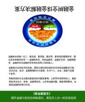 折叠名片