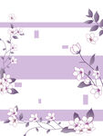 紫色条 花朵