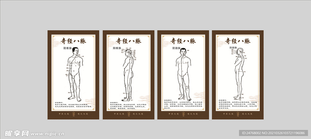 穴位图