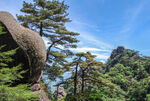 山青山