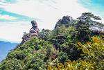 山青山