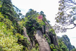 山青山