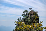 山青山