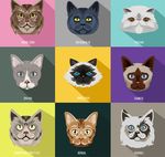猫咪头像矢量