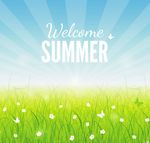 夏日清新草地矢量