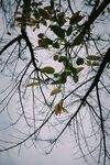 春