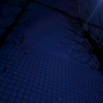夜空