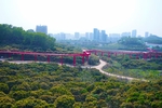 深圳网红桥