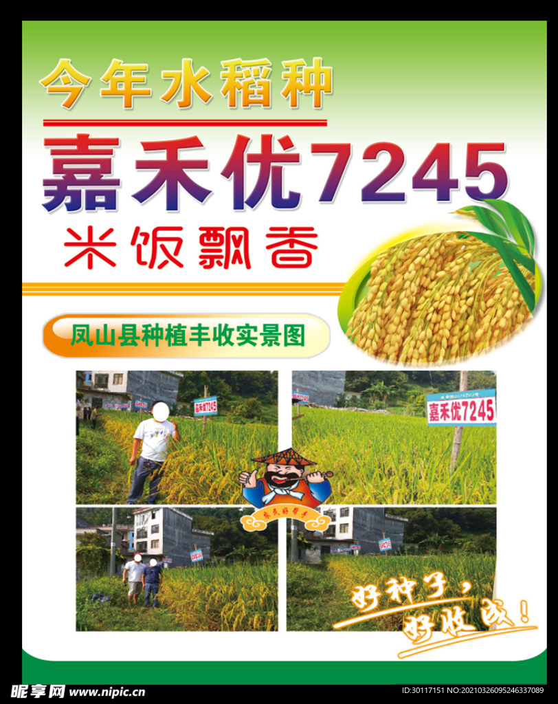 水稻种海报