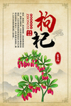 枸杞中药传统中医海报素材
