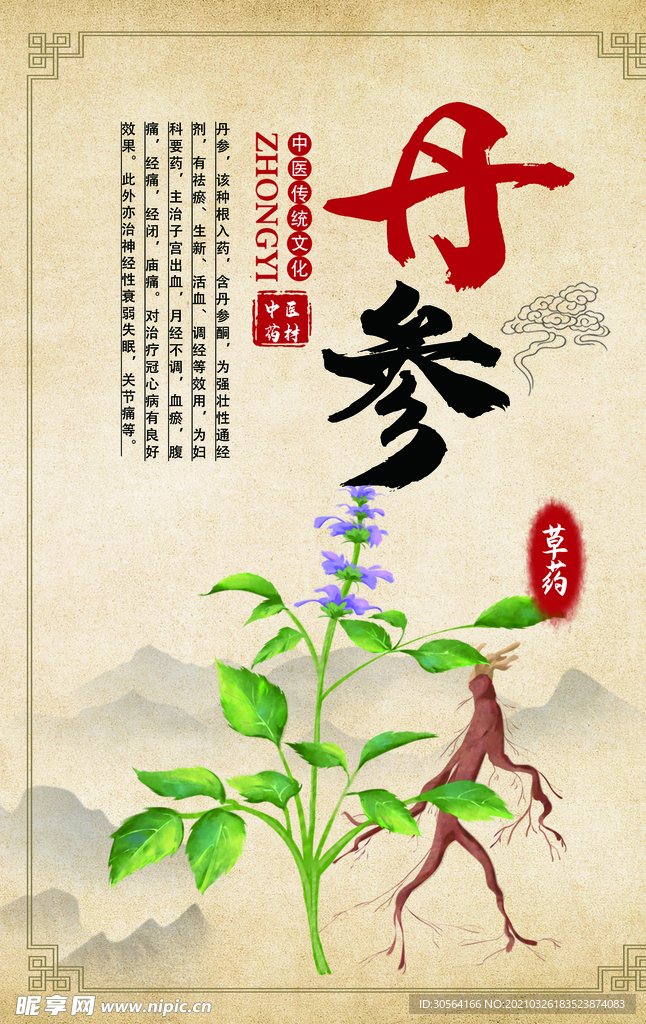 丹参中药传统中医海报素材