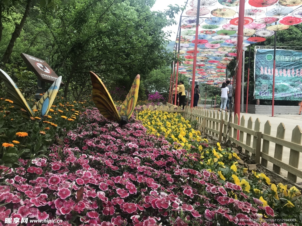 筠连清溪沟