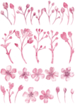 手绘桃花