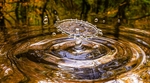 水花
