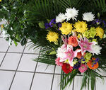 清明节花束