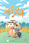 油菜花
