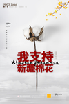 新疆棉花