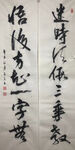 杨克东 书法 迷时虚假三乘教