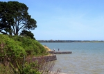 奥克兰海滨小镇风景