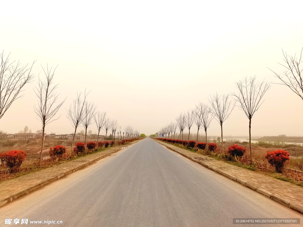 空荡荡的乡村道路风景