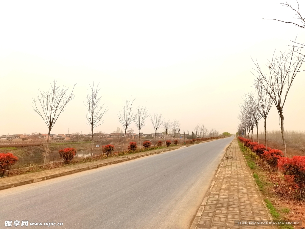 空荡荡的乡村道路风景