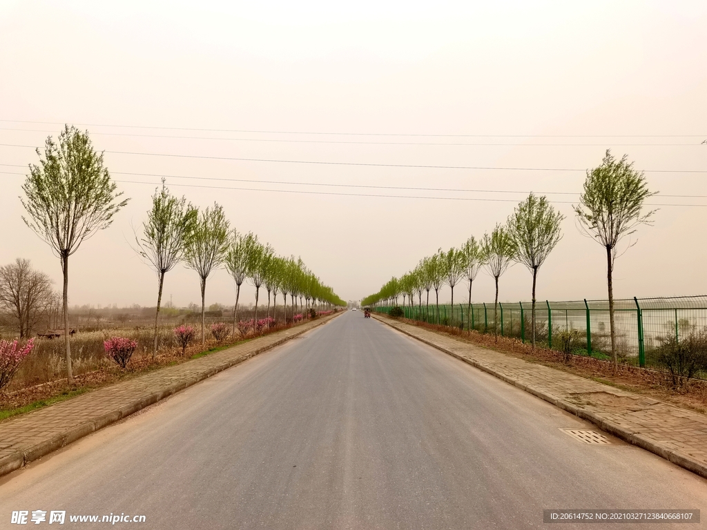 空荡荡的乡村道路风景