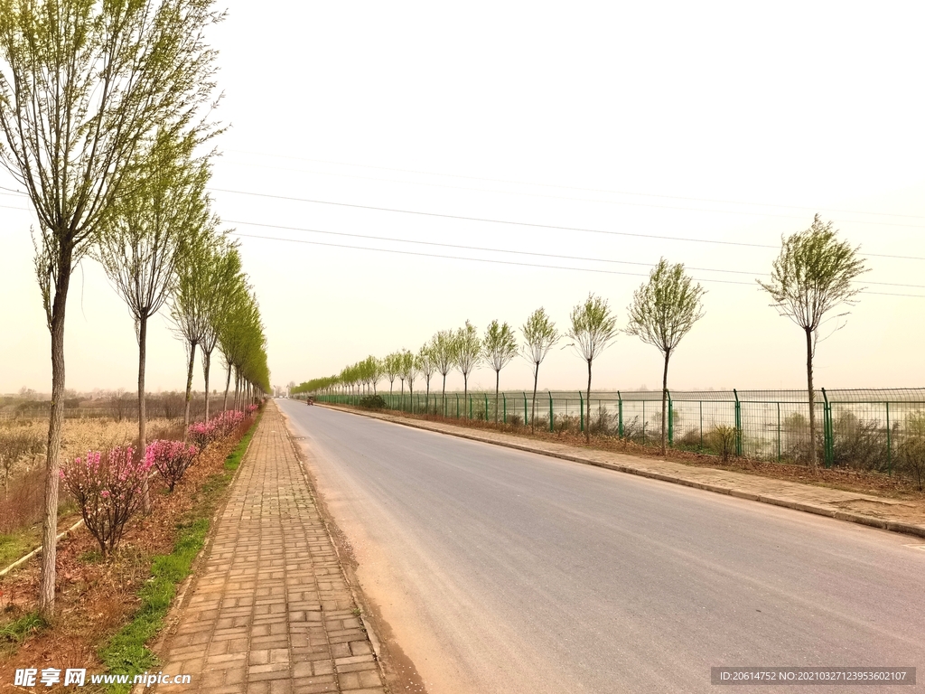 美丽的乡村道路风景