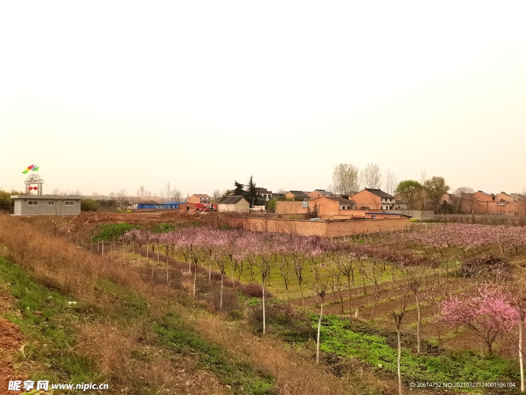 春天里的乡土田野