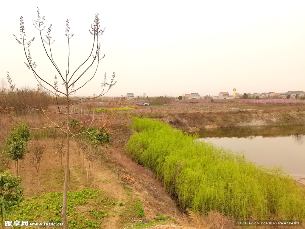 美丽的乡村风景