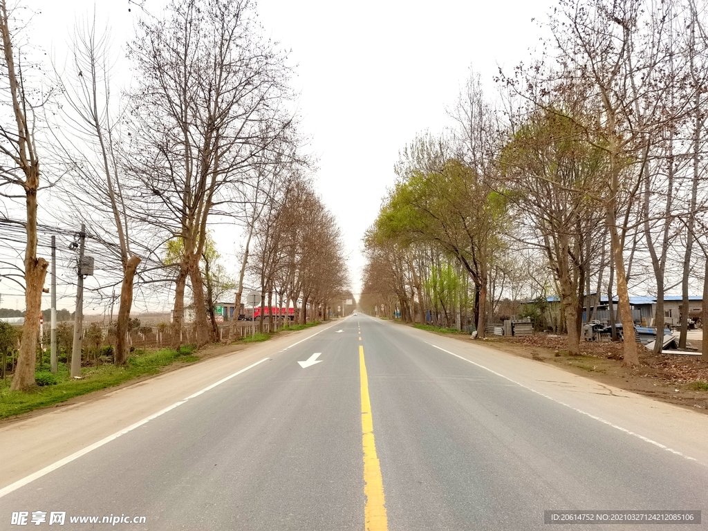 美丽的乡村道路风景