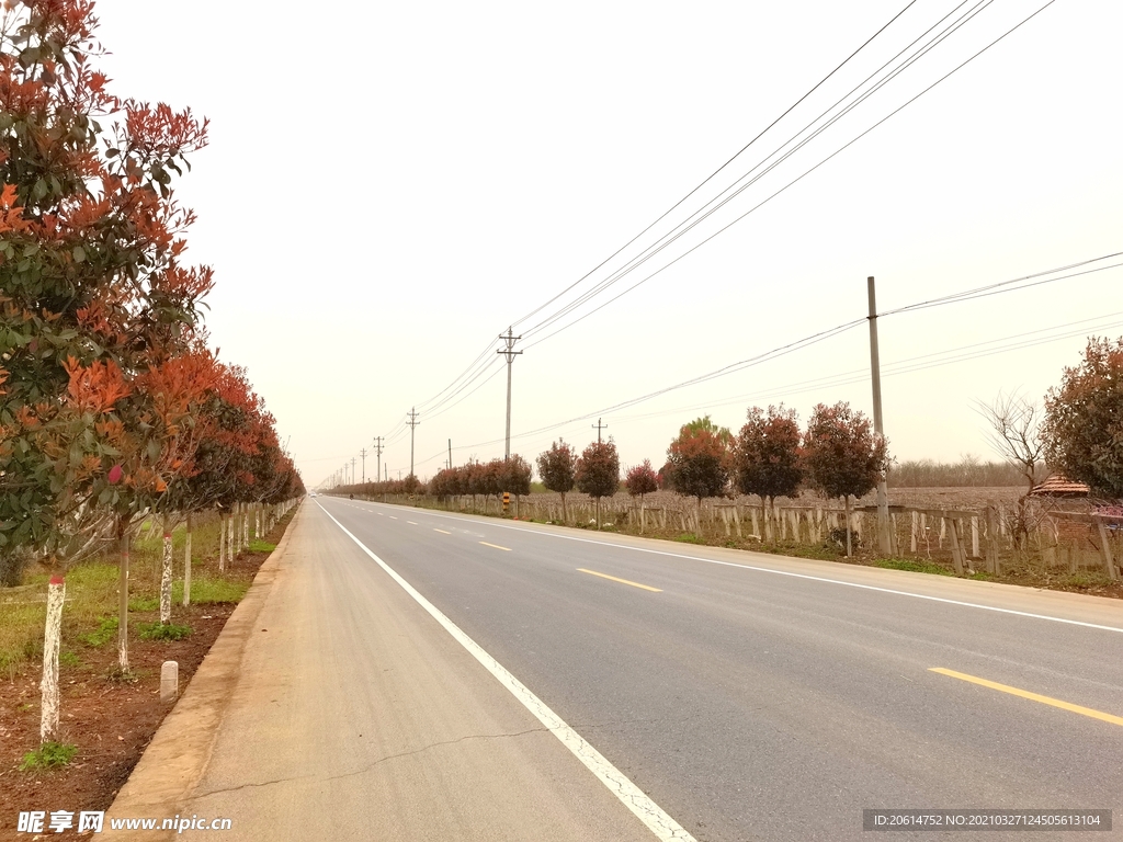 美丽的乡村道路