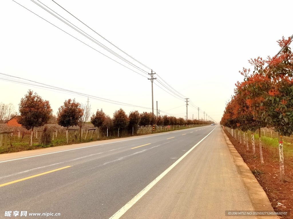 空荡荡的乡村道路风景