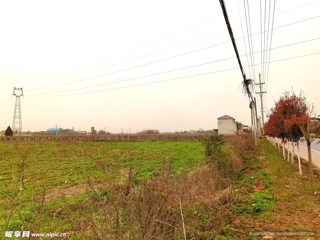 春天里的田野