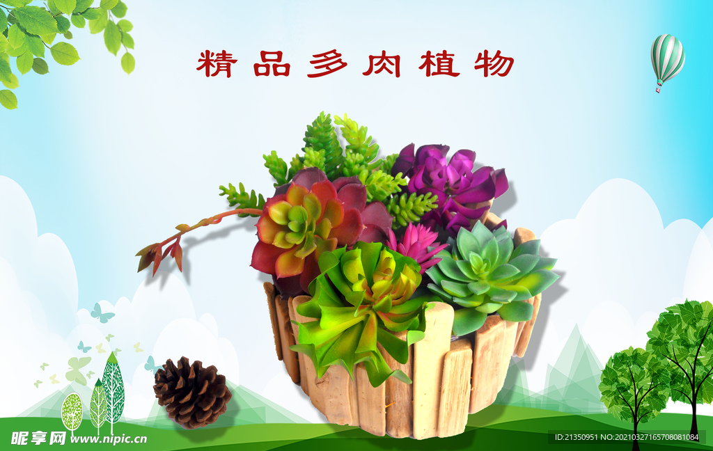 多肉植物