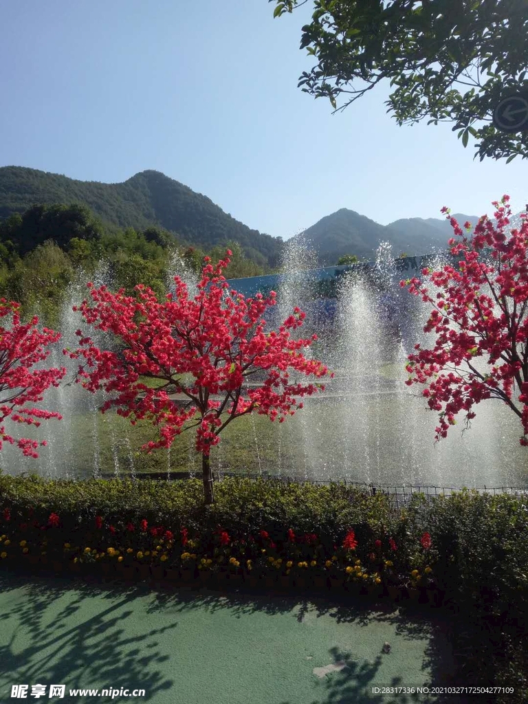 风景