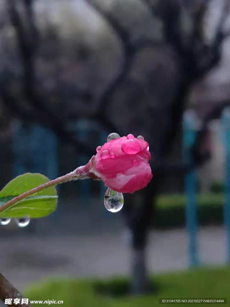 雨后