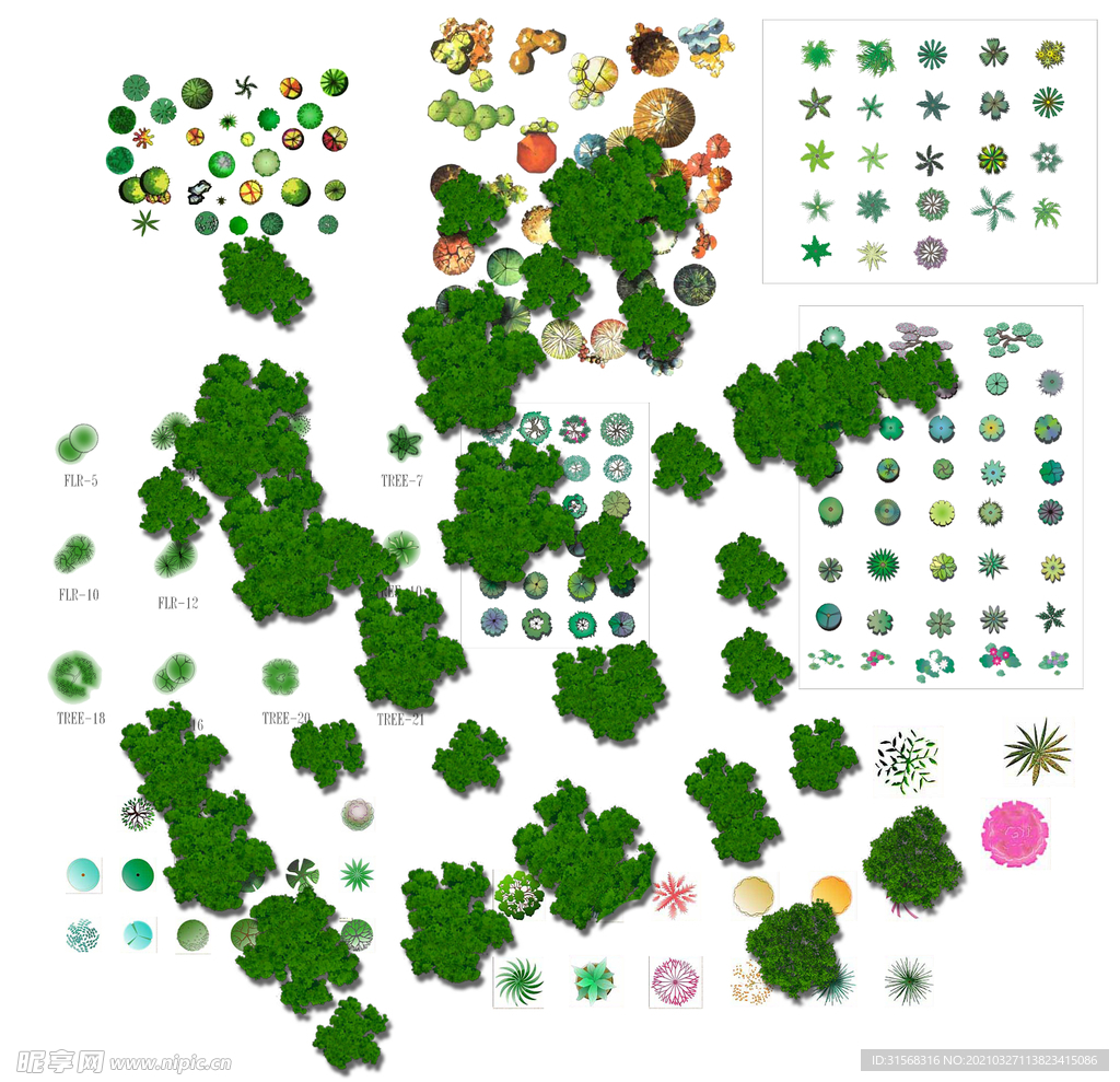 园林植物平面素材