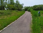 乡道