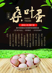 五香桑叶蛋