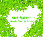 绿叶背景墙