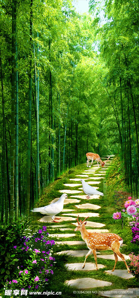 林间小道