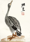 齐白石册页