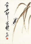 齐白石册页