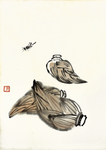 齐白石册页