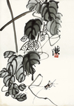齐白石册页