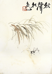 齐白石册页