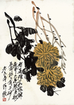 齐白石册页