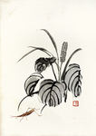 齐白石册页