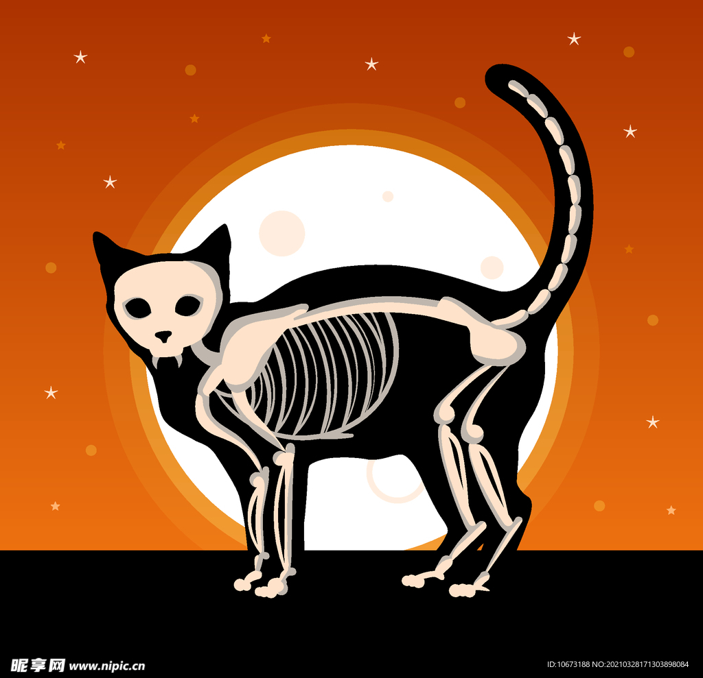 万圣节猫咪