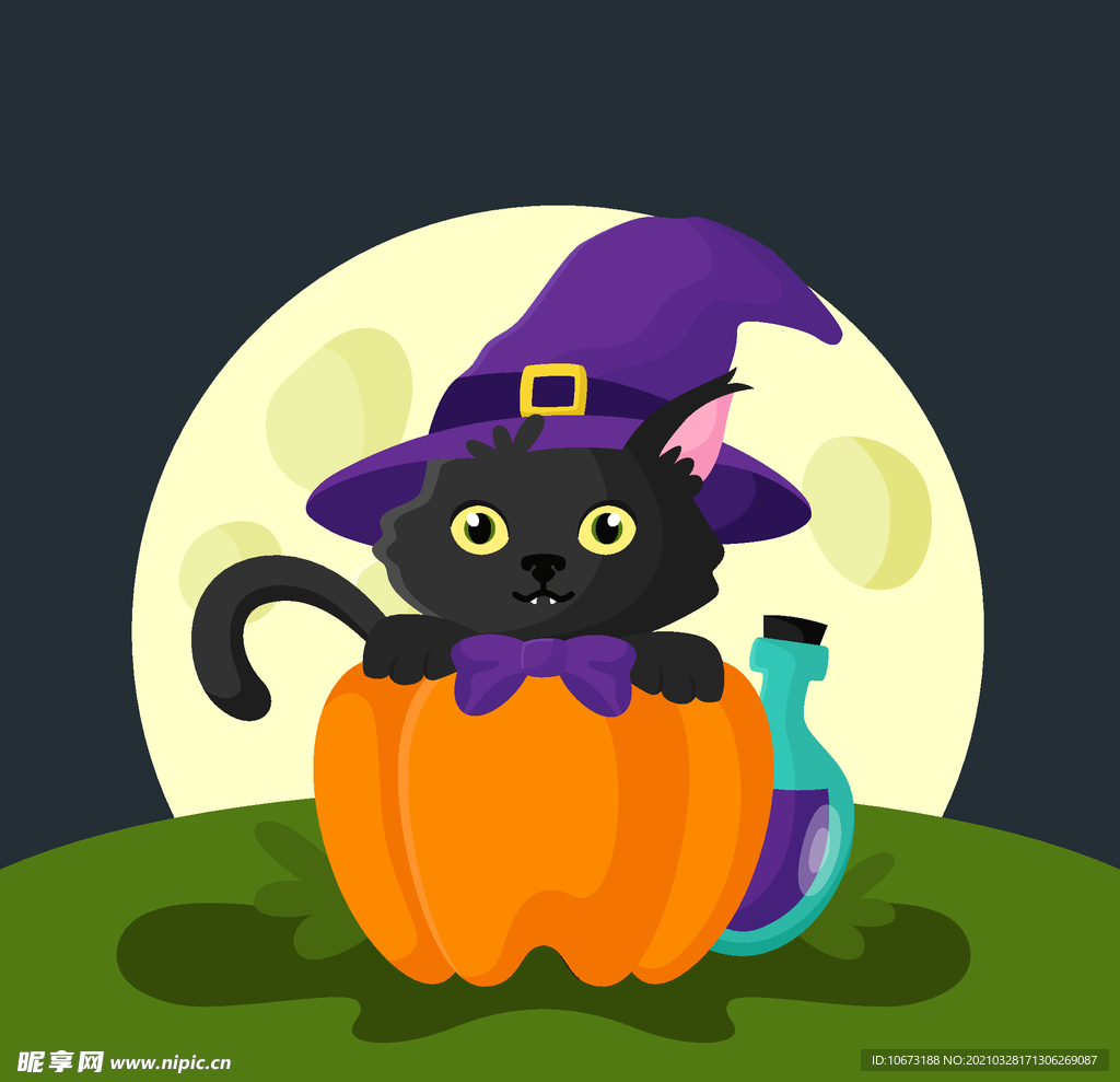 万圣节猫咪
